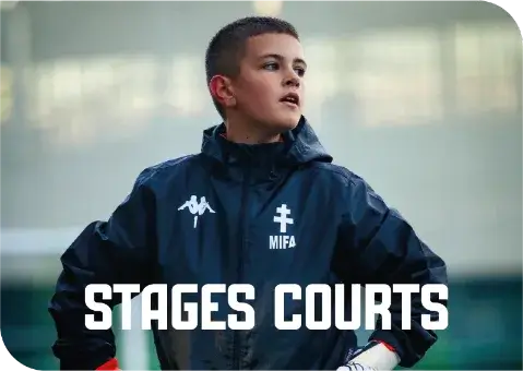 Stages courts